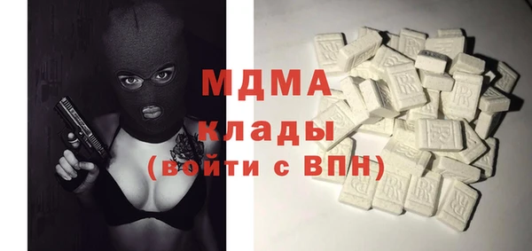 индика Новозыбков