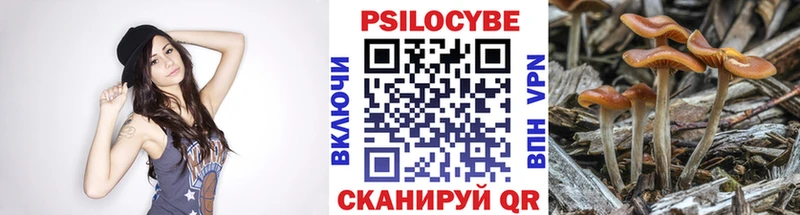 Псилоцибиновые грибы Cubensis Урень
