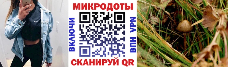 Псилоцибиновые грибы ЛСД Урень