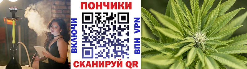 Шишки марихуана Bruce Banner  Урень 